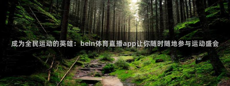 成为全民运动的英雄：bein体育直播app让你随时随地参与运动盛会