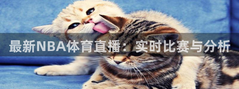 最新NBA体育直播：实时比赛与分析