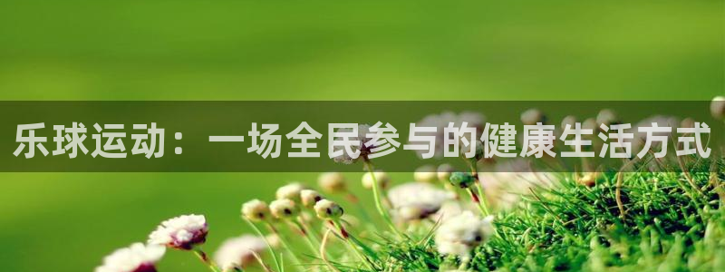 乐球运动：一场全民参与的健康生活方式