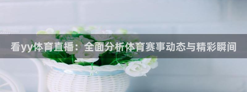 看yy体育直播：全面分析体育赛事动态与精彩瞬间